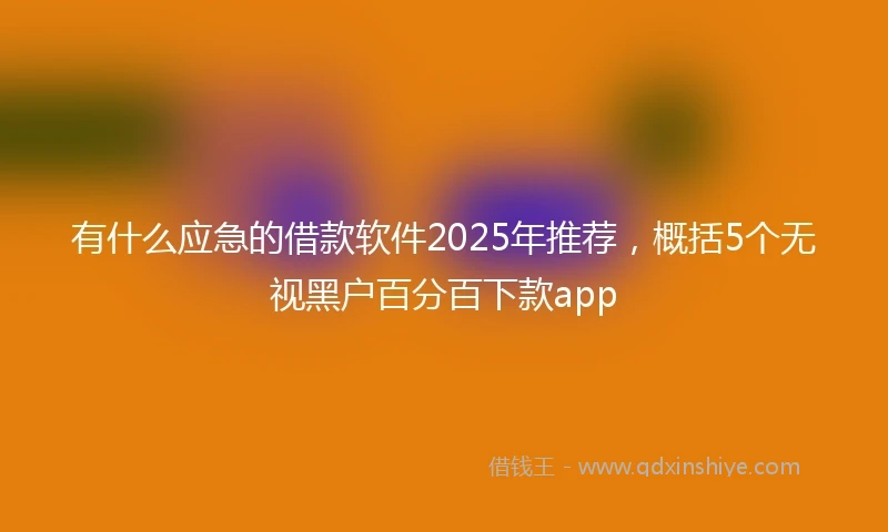 有什么应急的借款软件2025年推荐，概括5个无视黑户百分百下款app