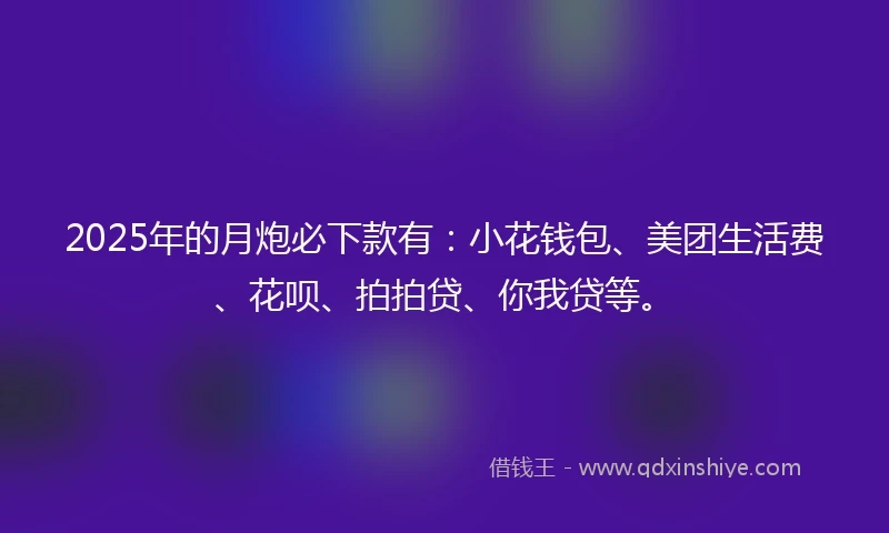 2025年的月炮必下款有：小花钱包、美团生活费、花呗、拍拍贷、你我贷等。