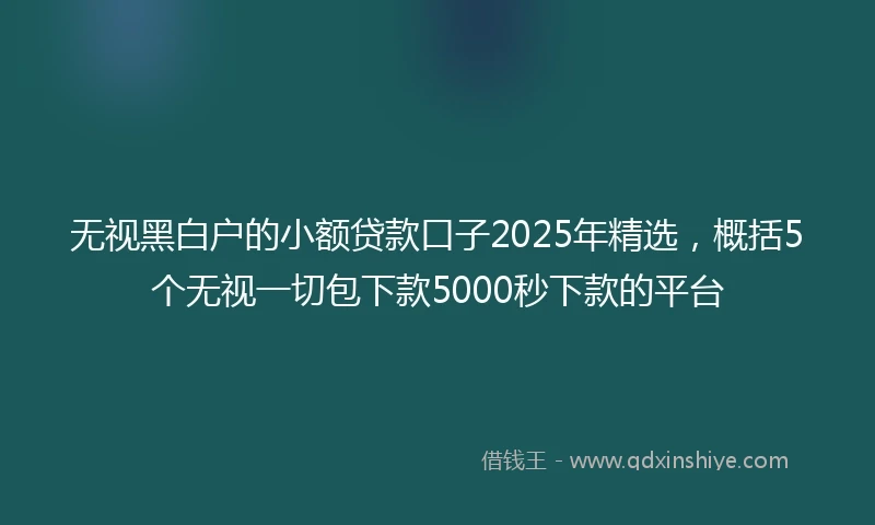 无视黑白户的小额贷款口子2025年精选，概括5个无视一切包下款5000秒下款的平台