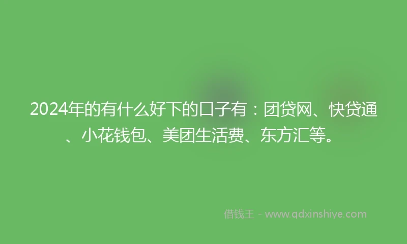2024年的有什么好下的口子有:团贷网、快贷通、小花钱包、美团生活费、东方汇等。