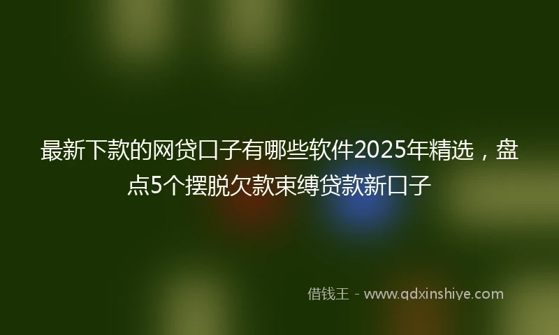 最新下款的网贷口子有哪些软件2025年精选，盘点5个摆脱欠款束缚贷款新口子
