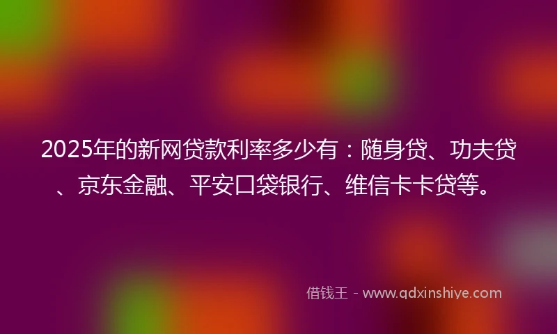 2025年的新网贷款利率多少有：随身贷、功夫贷、京东金融、平安口袋银行、维信卡卡贷等。