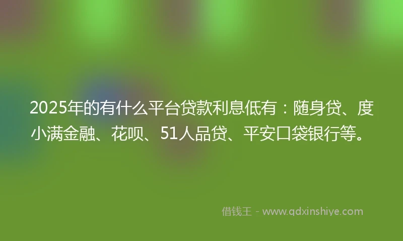 2025年的有什么平台贷款利息低有：随身贷、度小满金融、花呗、51人品贷、平安口袋银行等。