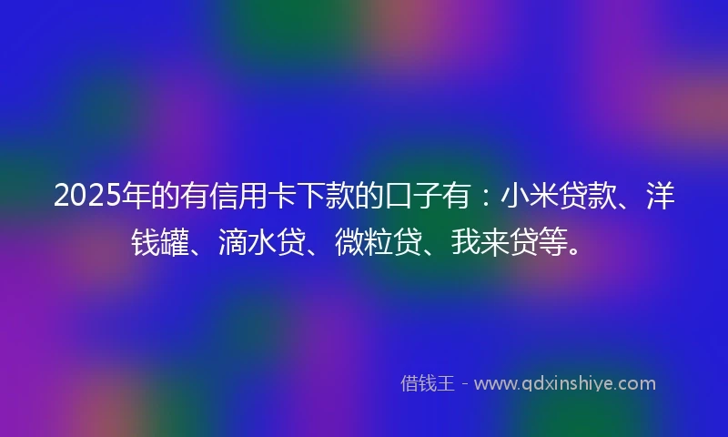 2025年的有信用卡下款的口子有：小米贷款、洋钱罐、滴水贷、微粒贷、我来贷等。