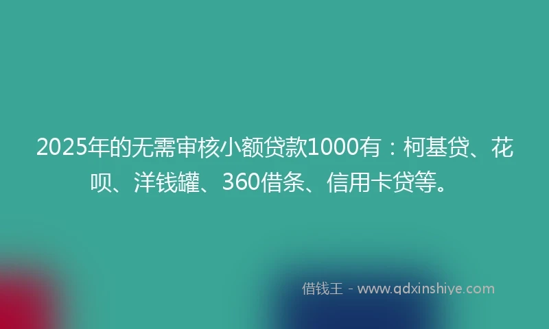 2025年的无需审核小额贷款1000有：柯基贷、花呗、洋钱罐、360借条、信用卡贷等。