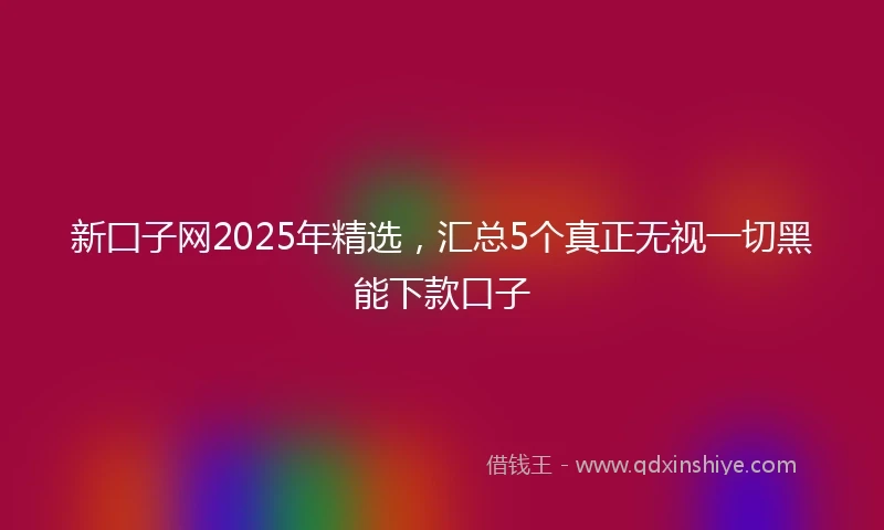 新囗子网2025年精选，汇总5个真正无视一切黑能下款口子