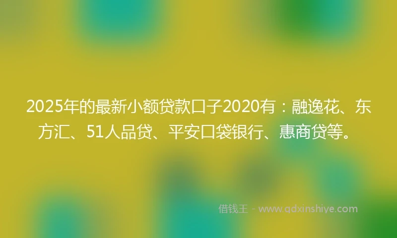 2025年的最新小额贷款口子2020有：融逸花、东方汇、51人品贷、平安口袋银行、惠商贷等。