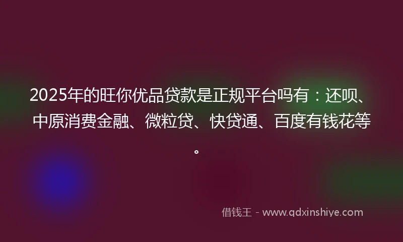 2025年的旺你优品贷款是正规平台吗有：还呗、中原消费金融、微粒贷、快贷通、百度有钱花等。