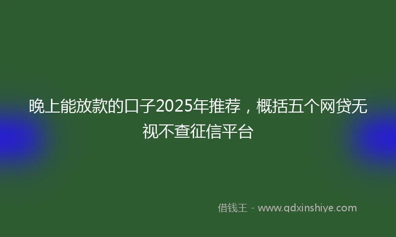 晚上能放款的口子2025年推荐，概括五个网贷无视不查征信平台