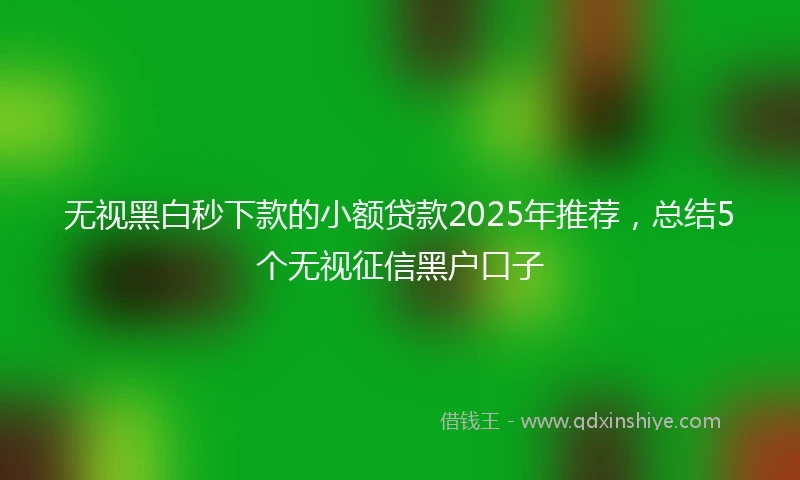 无视黑白秒下款的小额贷款2025年推荐，总结5个无视征信黑户口子