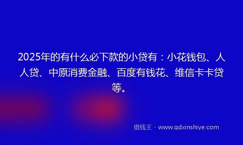 2025年的有什么必下款的小贷有:小花钱包、人人贷、中原消费金融、百度有钱花、维信卡卡贷等。