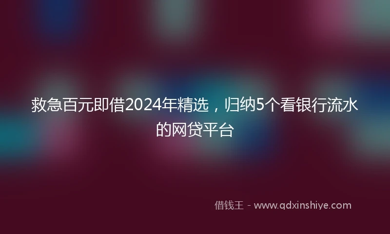 救急百元即借2024年精选，归纳5个看银行流水的网贷平台