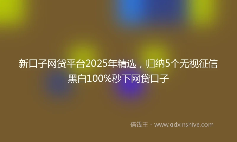 新口子网贷平台2025年精选，归纳5个无视征信黑白100%秒下网贷口子