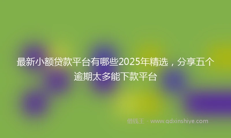 最新小额贷款平台有哪些2025年精选，分享五个逾期太多能下款平台