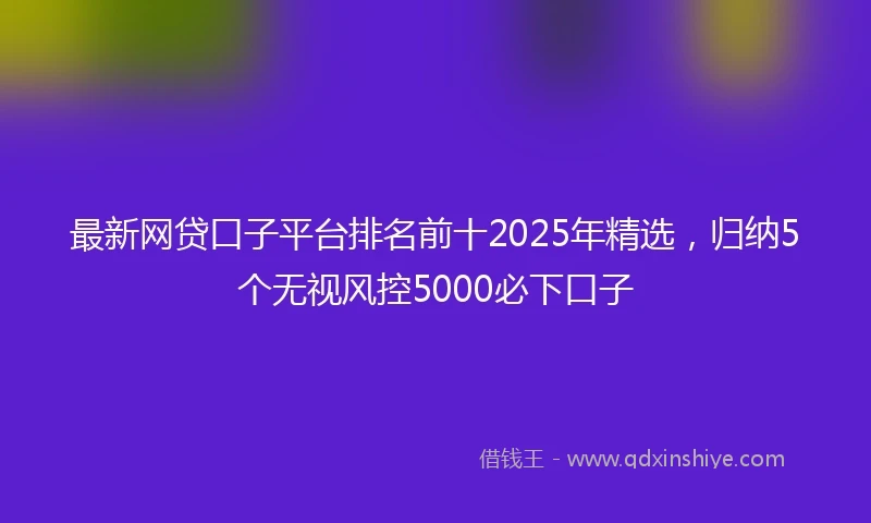 最新网贷口子平台排名前十2025年精选，归纳5个无视风控5000必下口子