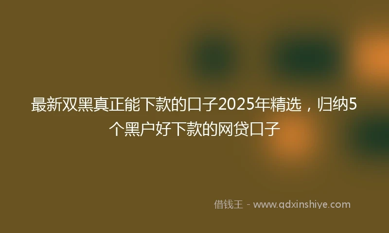 最新双黑真正能下款的口子2025年精选，归纳5个黑户好下款的网贷口子
