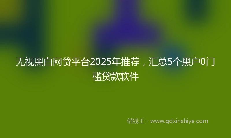 无视黑白网贷平台2025年推荐，汇总5个黑户0门槛贷款软件