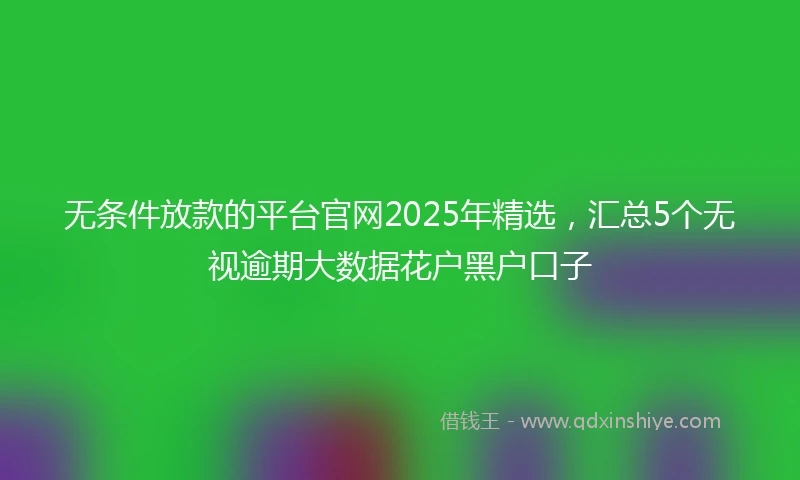 无条件放款的平台官网2025年精选，汇总5个无视逾期大数据花户黑户口子