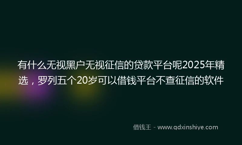 有什么无视黑户无视征信的贷款平台呢2025年精选，罗列五个20岁可以借钱平台不查征信的软件