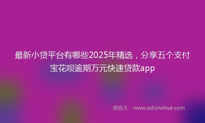 最新小贷平台有哪些2025年精选，分享五个支付宝花呗逾期万元快速贷款app