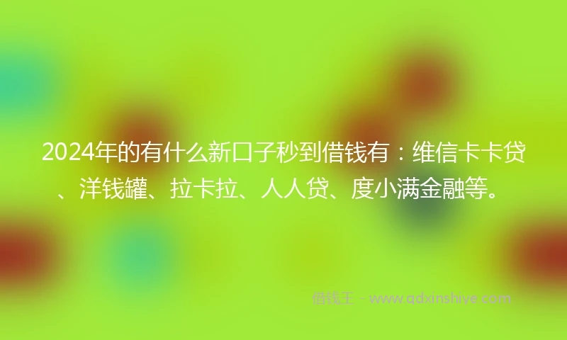 2024年的有什么新口子秒到借钱有：维信卡卡贷、洋钱罐、拉卡拉、人人贷、度小满金融等。
