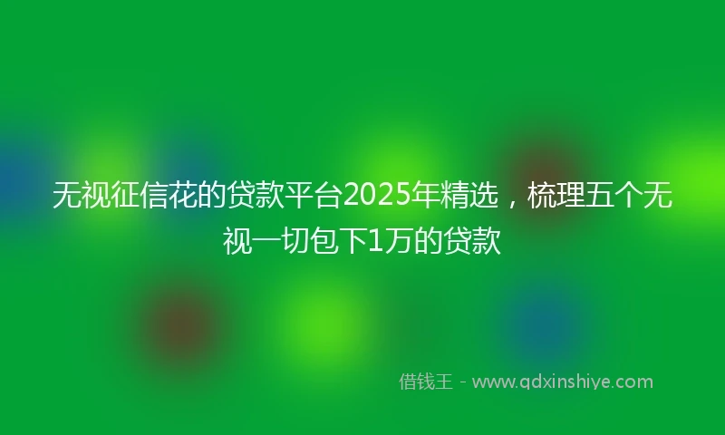 无视征信花的贷款平台2025年精选，梳理五个无视一切包下1万的贷款
