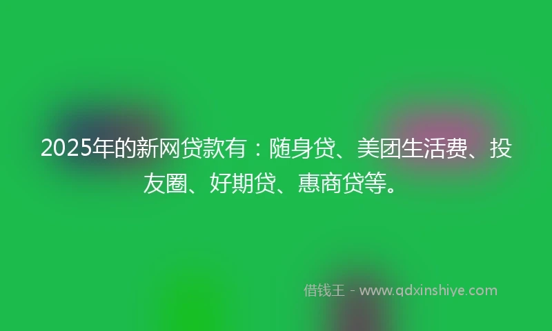 2025年的新网贷款有：随身贷、美团生活费、投友圈、好期贷、惠商贷等。