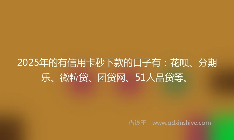 2025年的有信用卡秒下款的口子有：花呗、分期乐、微粒贷、团贷网、51人品贷等。