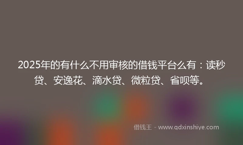 2025年的有什么不用审核的借钱平台么有：读秒贷、安逸花、滴水贷、微粒贷、省呗等。
