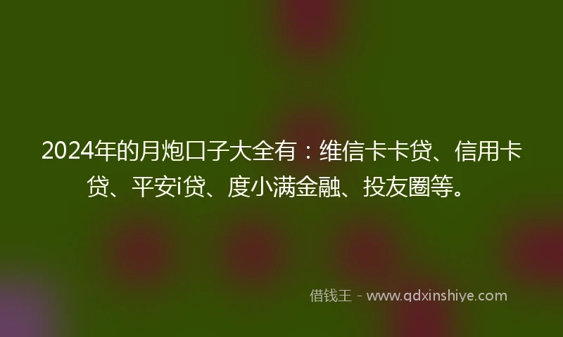 2024年的月炮口子大全有:维信卡卡贷、信用卡贷、平安i贷、度小满金融、投友圈等。