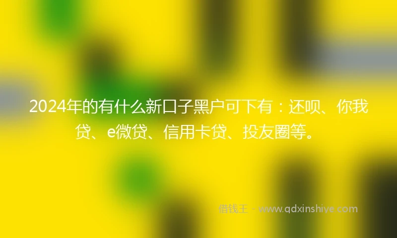 2024年的有什么新口子黑户可下有：还呗、你我贷、e微贷、信用卡贷、投友圈等。