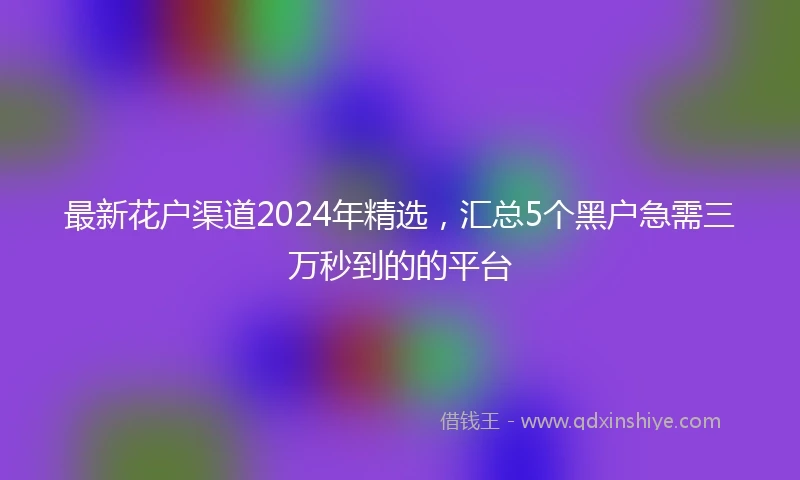 最新花户渠道2024年精选，汇总5个黑户急需三万秒到的的平台
