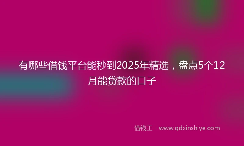有哪些借钱平台能秒到2025年精选，盘点5个12月能贷款的口子