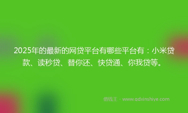 2025年的最新的网贷平台有哪些平台有：小米贷款、读秒贷、替你还、快贷通、你我贷等。