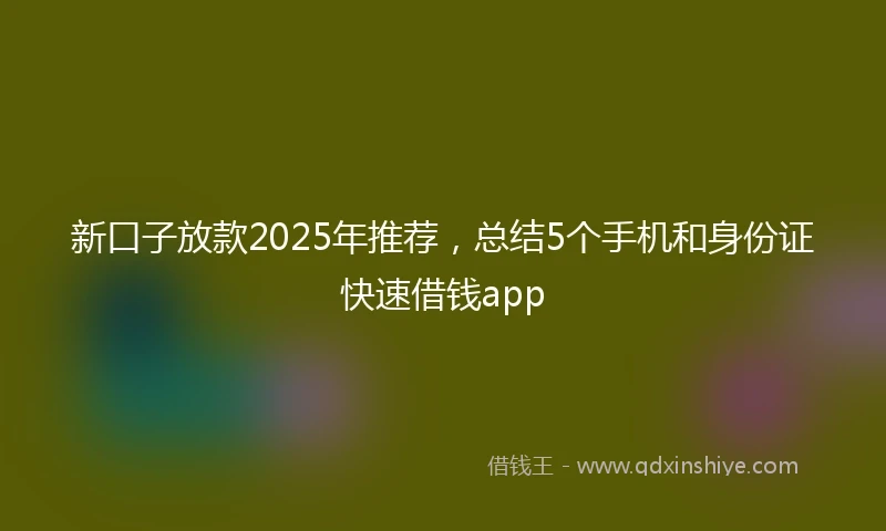 新口子放款2025年推荐，总结5个手机和身份证快速借钱app