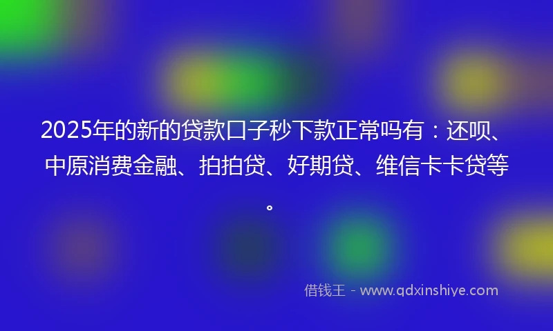 2025年的新的贷款口子秒下款正常吗有：还呗、中原消费金融、拍拍贷、好期贷、维信卡卡贷等。