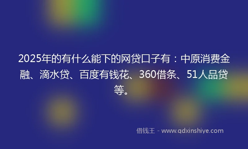 2025年的有什么能下的网贷口子有：中原消费金融、滴水贷、百度有钱花、360借条、51人品贷等。
