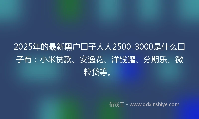 2025年的最新黑户口子人人2500-3000是什么口子有：小米贷款、安逸花、洋钱罐、分期乐、微粒贷等。