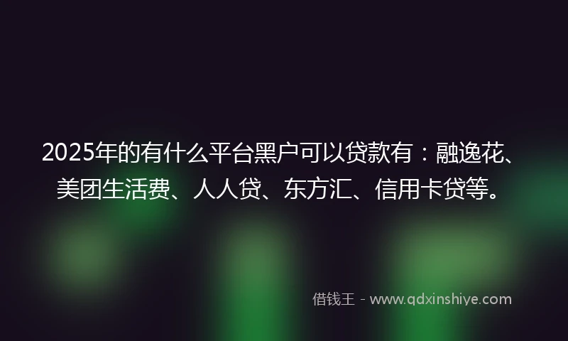 2025年的有什么平台黑户可以贷款有：融逸花、美团生活费、人人贷、东方汇、信用卡贷等。