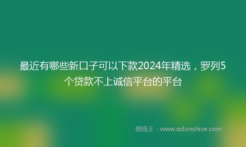 最近有哪些新口子可以下款2024年精选，罗列5个贷款不上诚信平台的平台