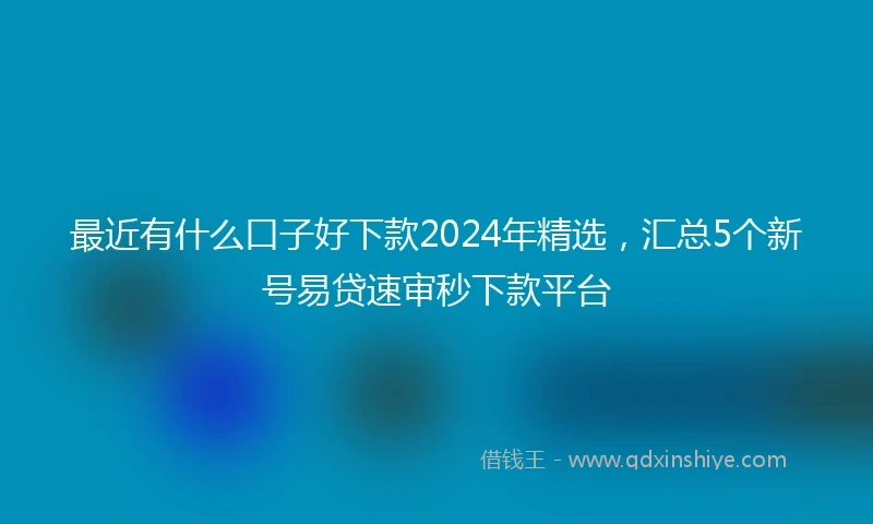 最近有什么口子好下款2024年精选，汇总5个新号易贷速审秒下款平台