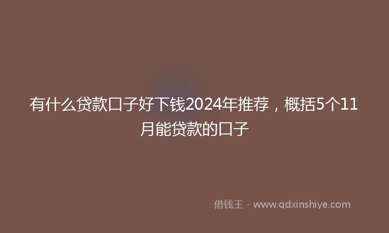 有什么贷款口子好下钱2024年推荐，概括5个11月能贷款的口子