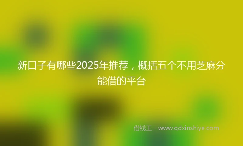 新口子有哪些2025年推荐，概括五个不用芝麻分能借的平台