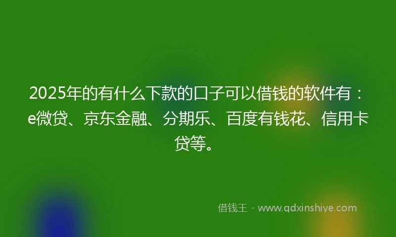2025年的有什么下款的口子可以借钱的软件有：e微贷、京东金融、分期乐、百度有钱花、信用卡贷等。