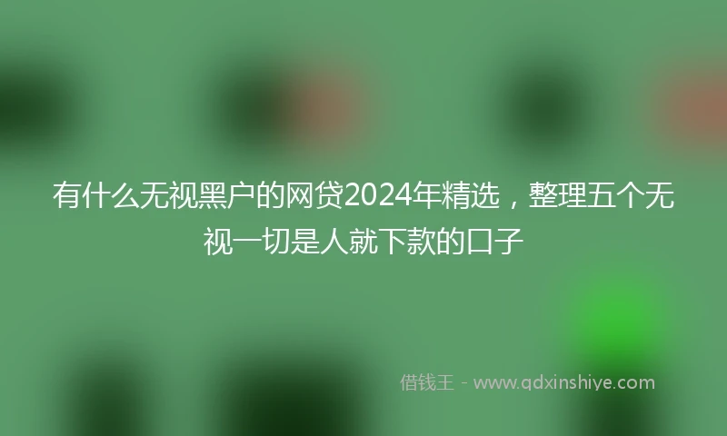 有什么无视黑户的网贷2024年精选，整理五个无视一切是人就下款的口子