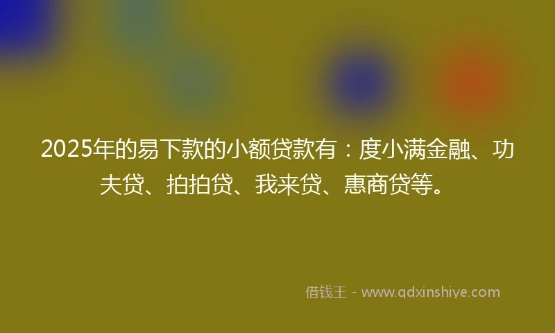 2025年的易下款的小额贷款有：度小满金融、功夫贷、拍拍贷、我来贷、惠商贷等。