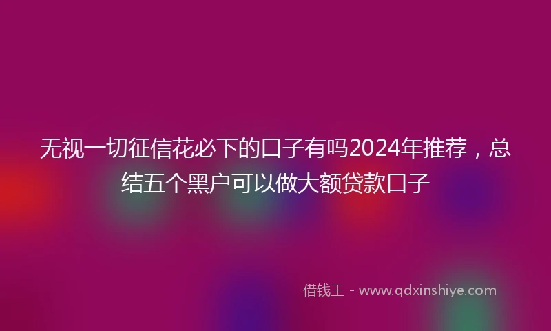 无视一切征信花必下的口子有吗2024年推荐，总结五个黑户可以做大额贷款口子