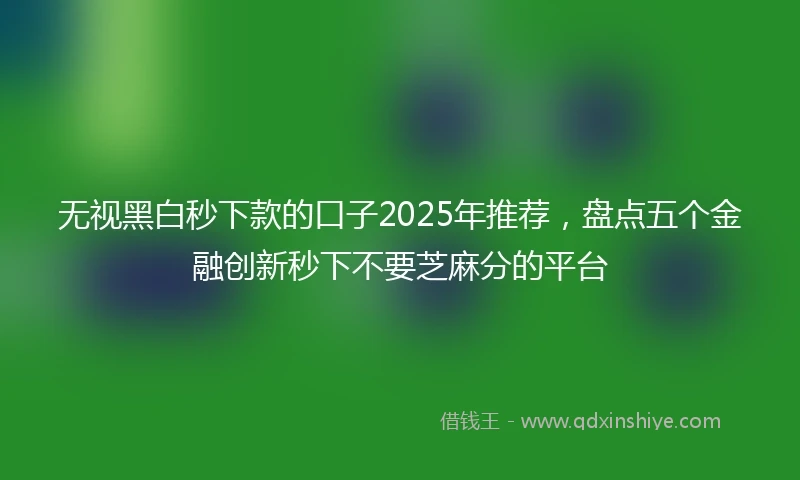无视黑白秒下款的口子2025年推荐，盘点五个金融创新秒下不要芝麻分的平台