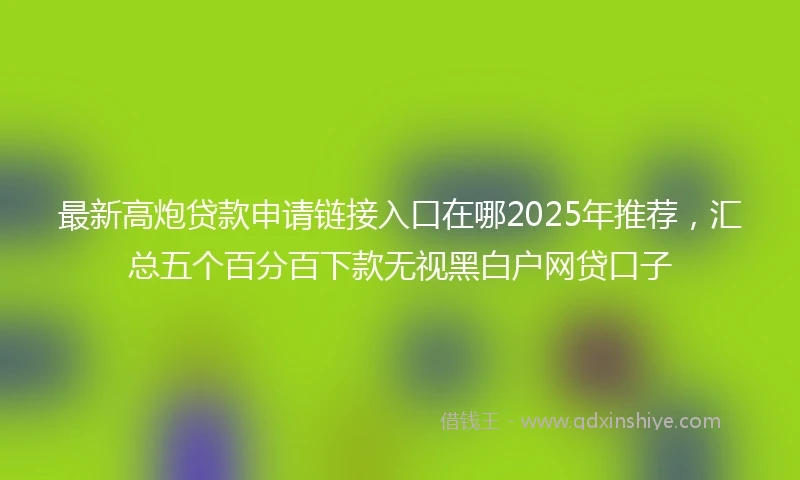 最新高炮贷款申请链接入口在哪2025年推荐，汇总五个百分百下款无视黑白户网贷口子