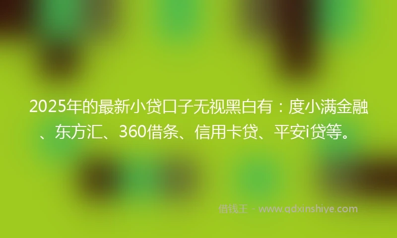 2025年的最新小贷口子无视黑白有：度小满金融、东方汇、360借条、信用卡贷、平安i贷等。